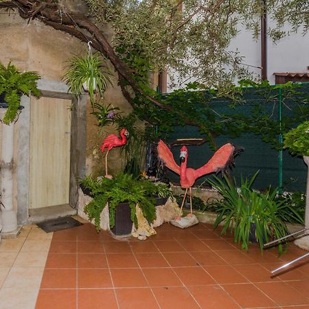 Naomi Apartment Zadar Exterior photo